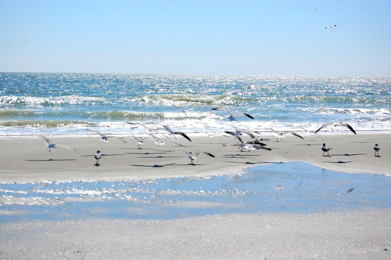 Mariners Cove 227 C Διαμέρισμα Μιρτλ Μπιτς Εξωτερικό φωτογραφία